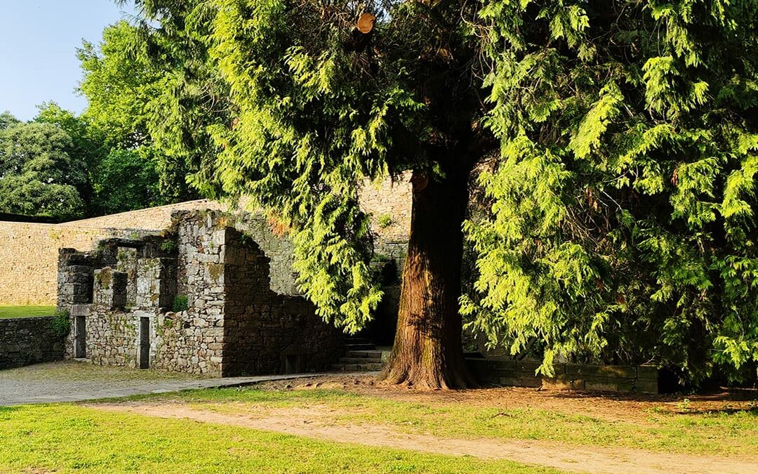 Santiago contará con novas zonas verdes