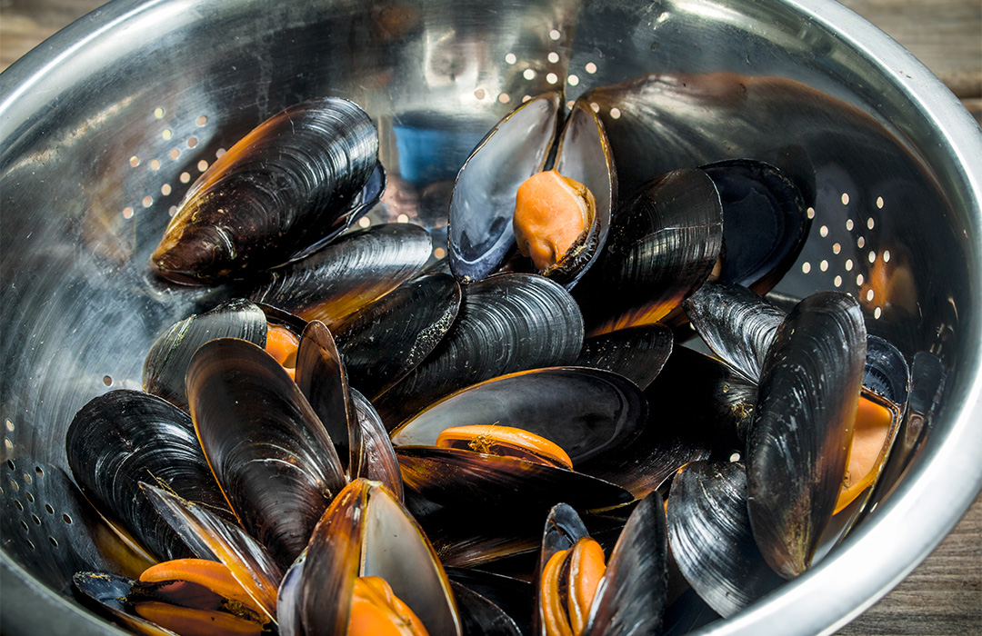 Mussels, A Coruña