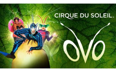 Cirque du Soleil arrives in Santiago de Compostela to brighten up the year