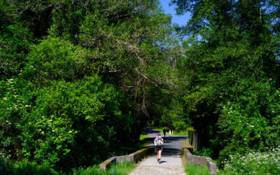 A pathway to decentralize tourism is born in Santiago